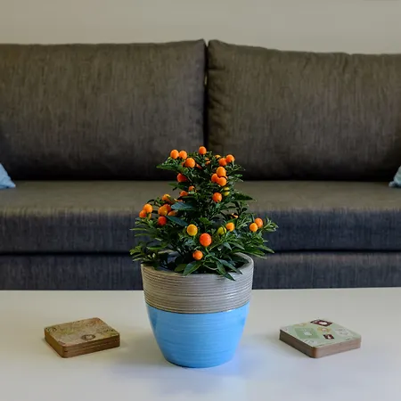 Appartement Soho *